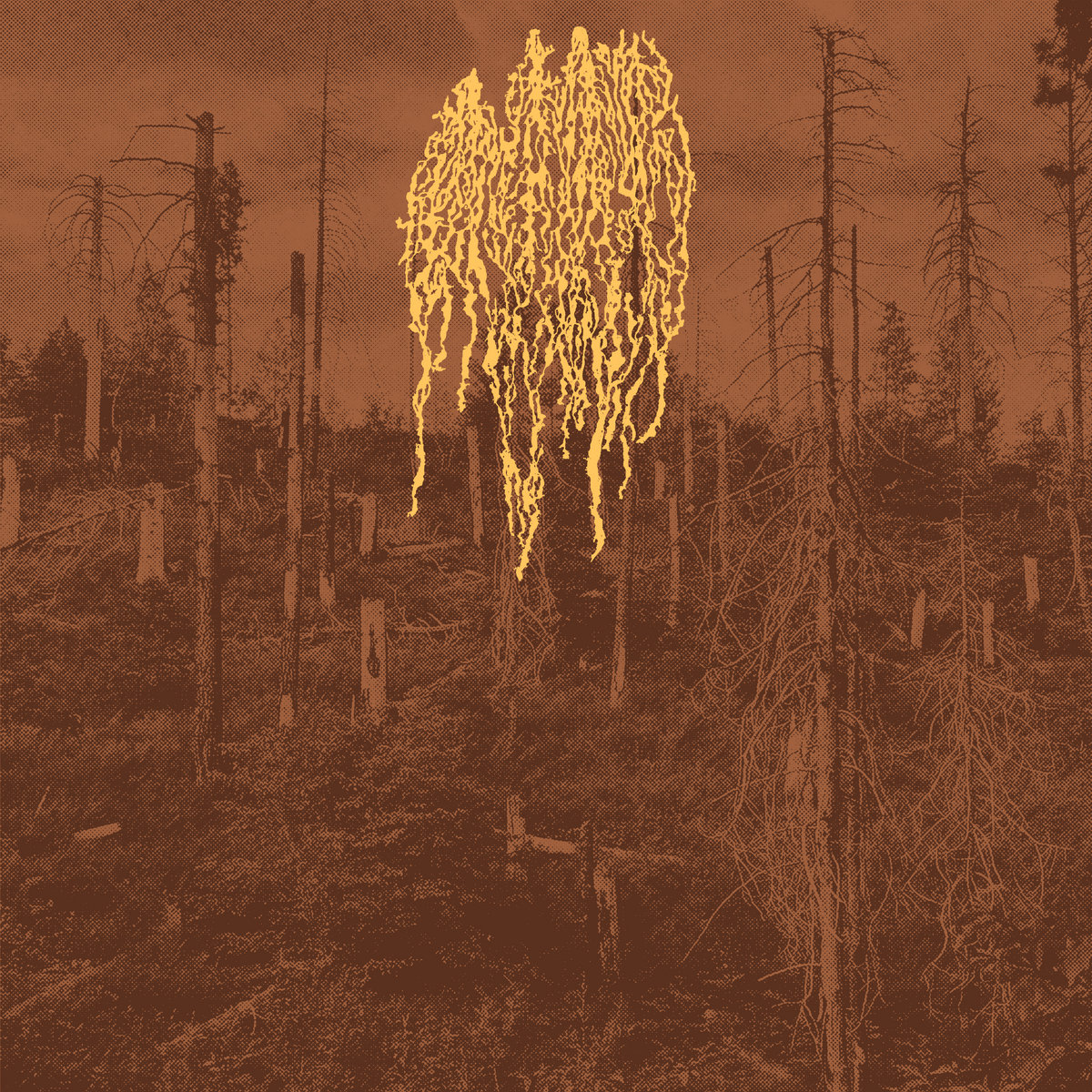 Cover art for Forest Fire