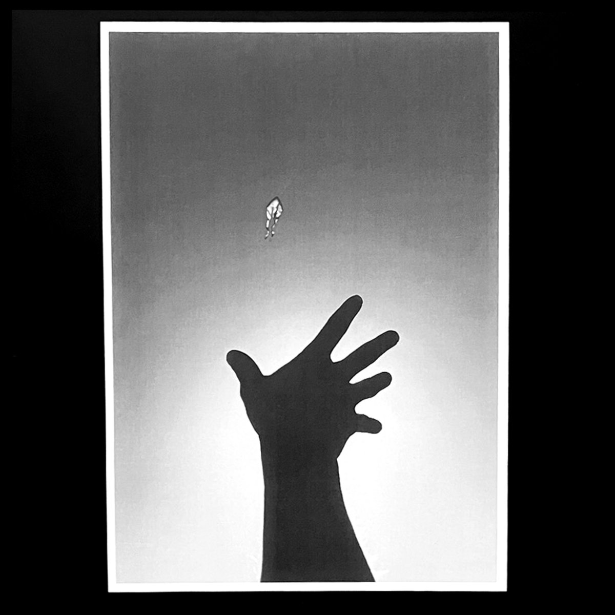 Cover art for Kite